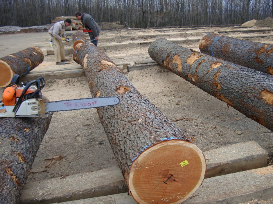 Log inspection 18