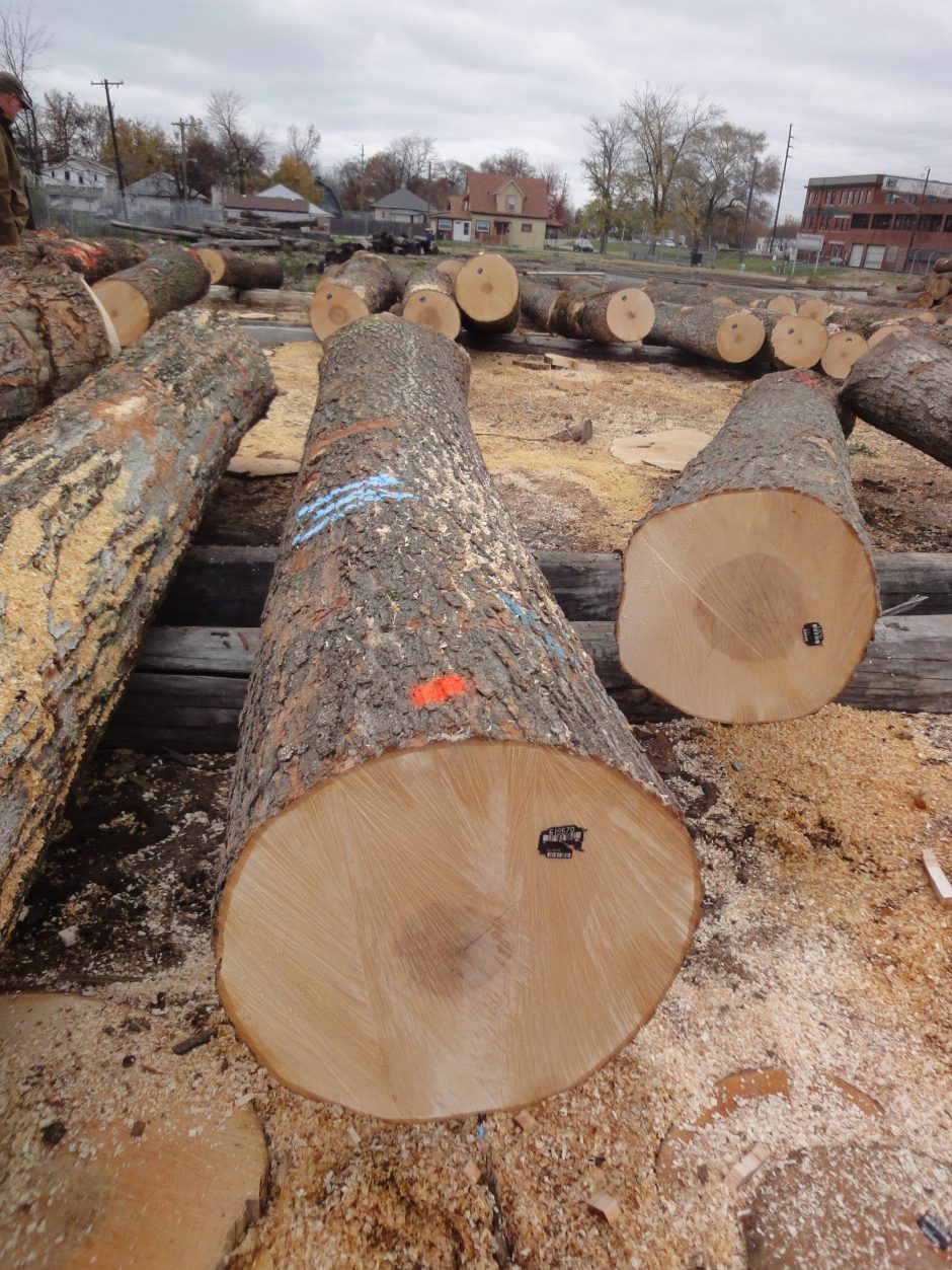 Log inspection 15
