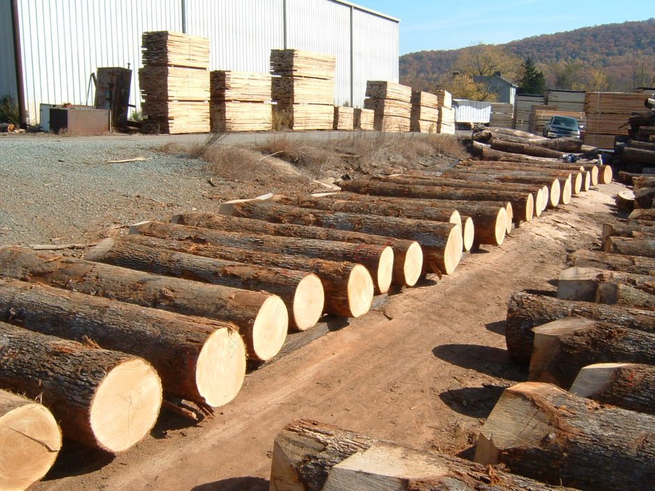 Log inspection 10