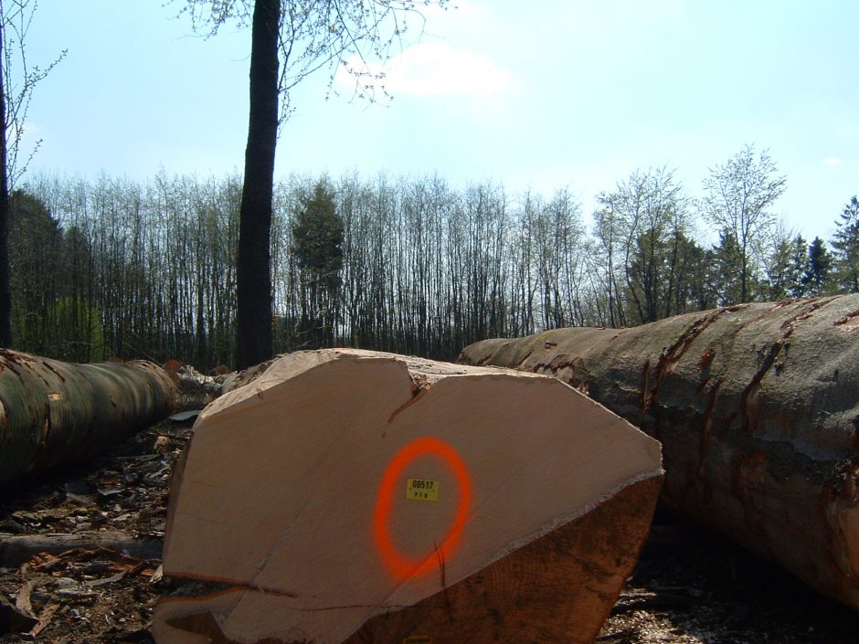 Log inspection 8