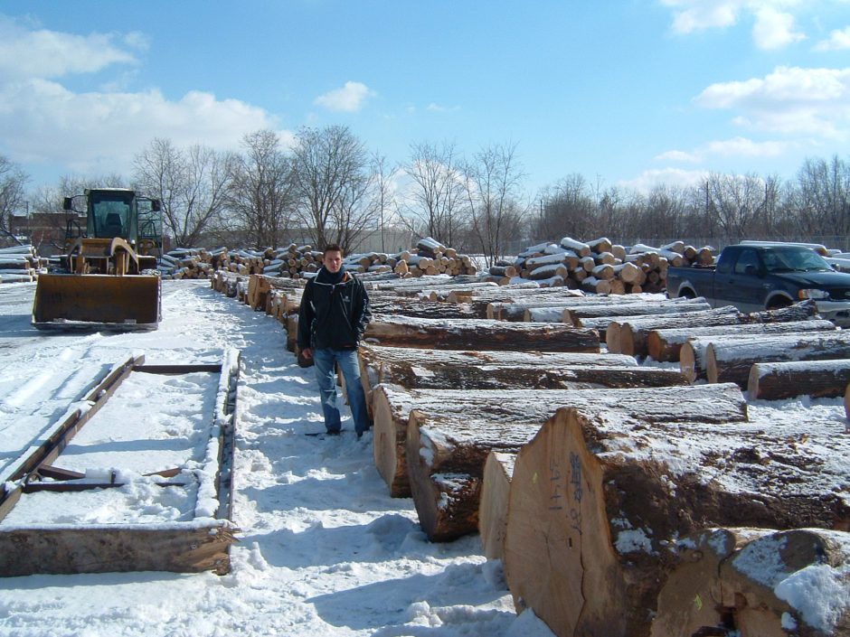 Log inspection 5